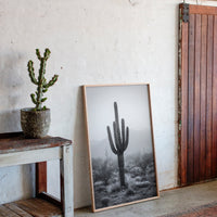 Cactus Standing Against The Mist