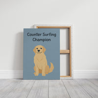 Counter Surfing Champion