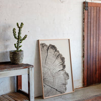 Chronicles Etched in Grain