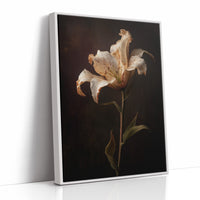 Solitary Bloom Against Midnight Depths