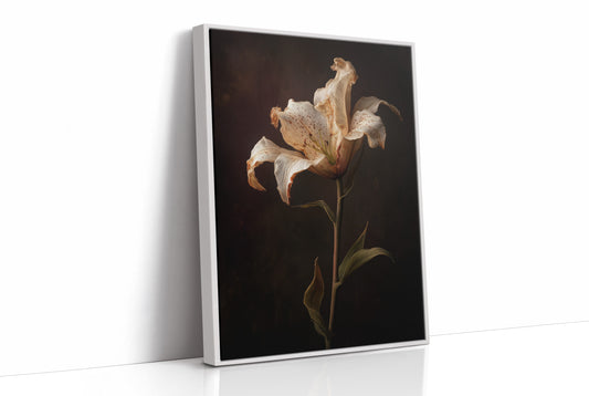 Solitary Bloom Against Midnight Depths