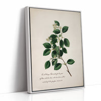 Botanical Faith On Wooden Table