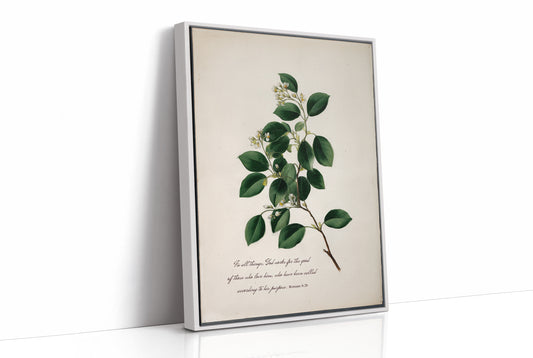 Botanical Faith On Wooden Table