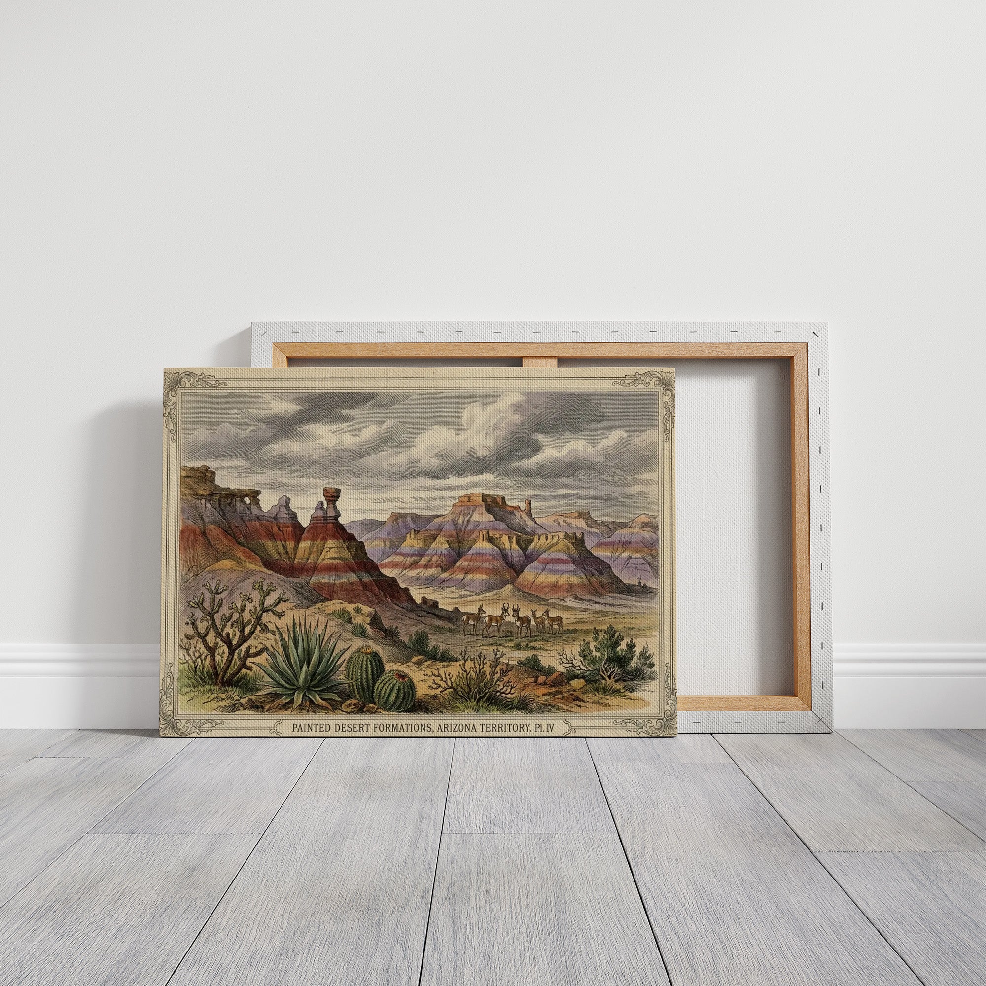 Painted Desert, Plate IV