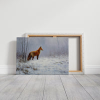Fox in the Quiet Frost