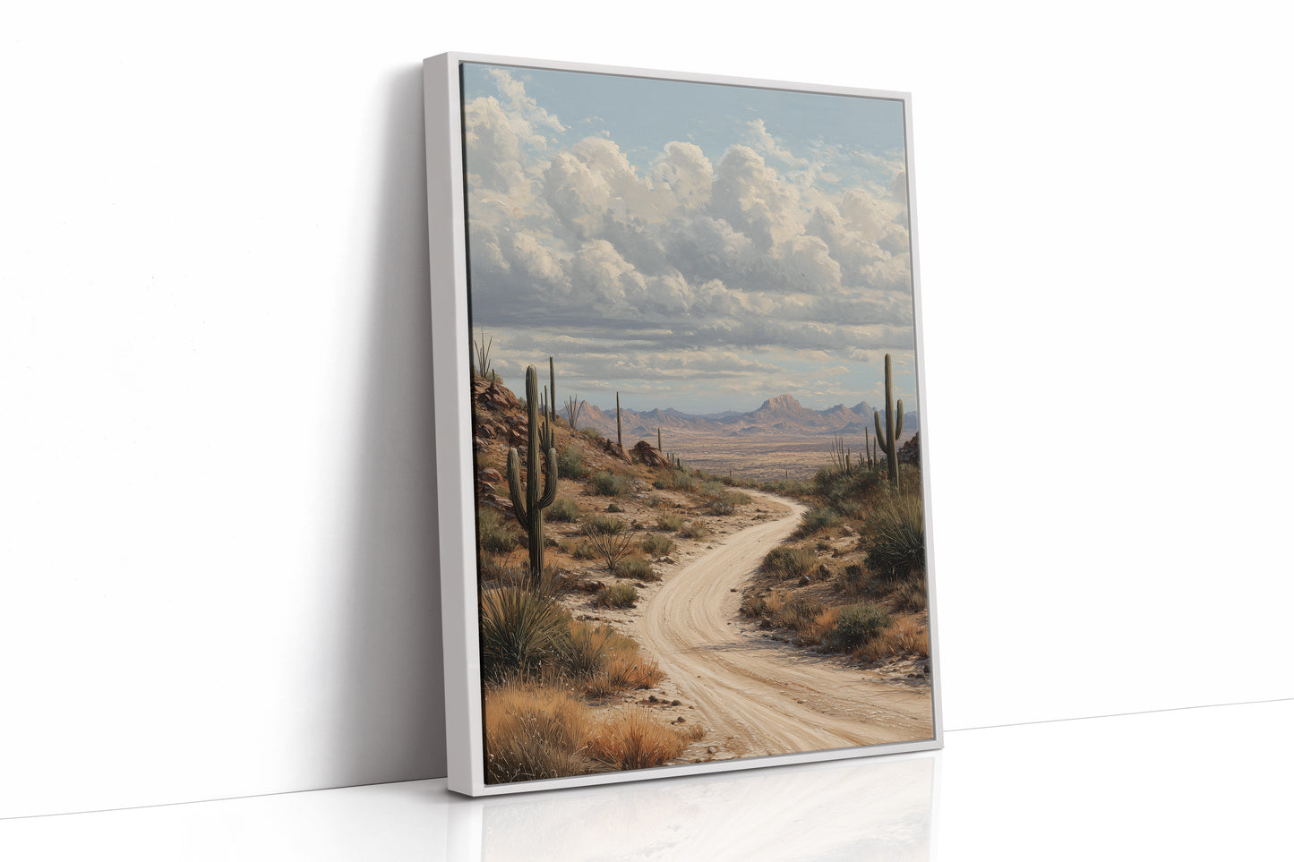 Winding Path Through Sonoran Majesty
