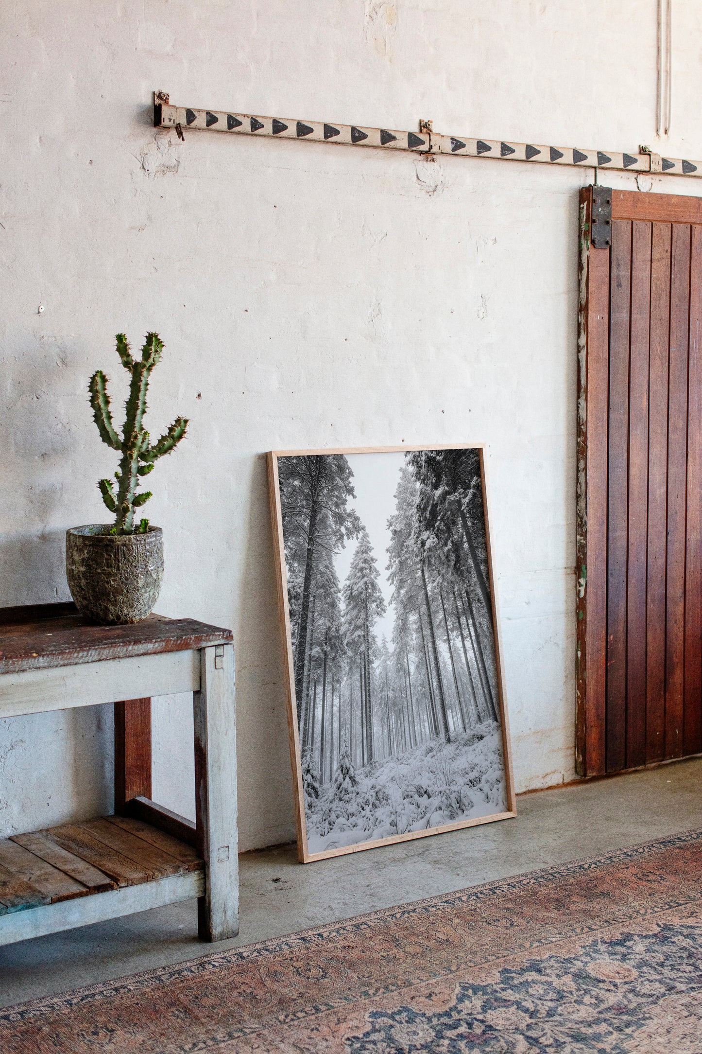 Beneath the Silent Canopy