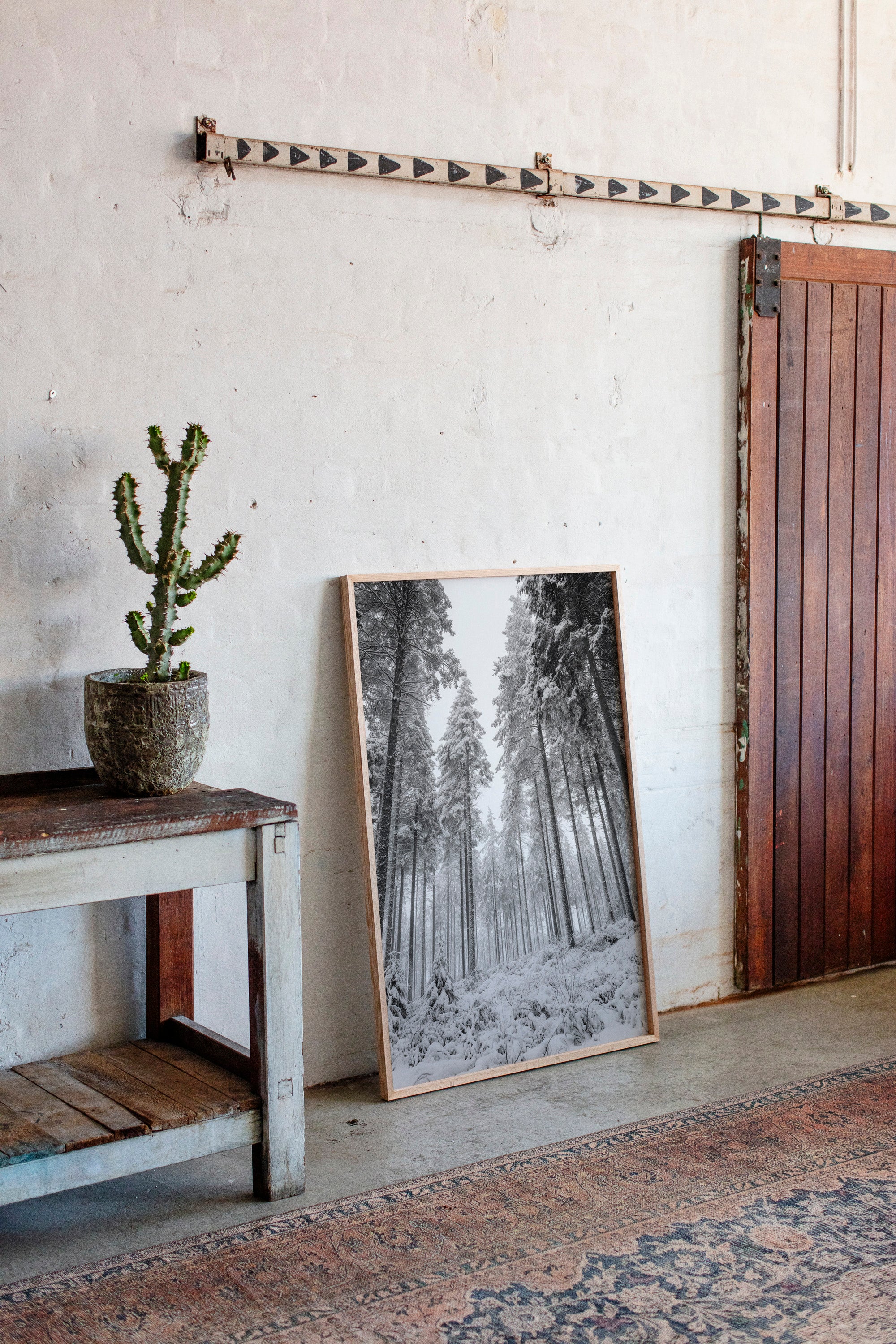 Beneath the Silent Canopy