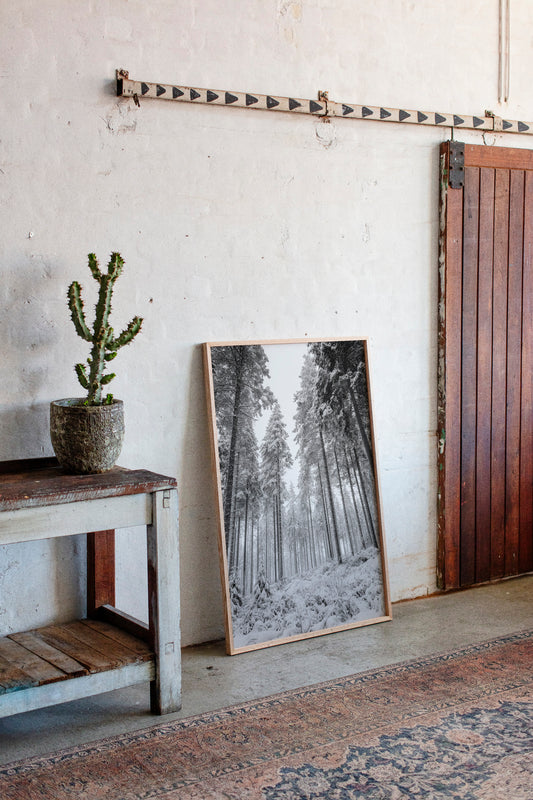 Beneath the Silent Canopy