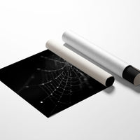 Dew Caught In Midnight Threads