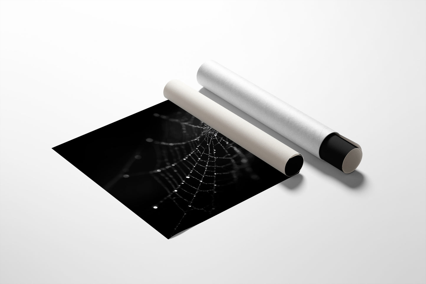 Dew Caught In Midnight Threads