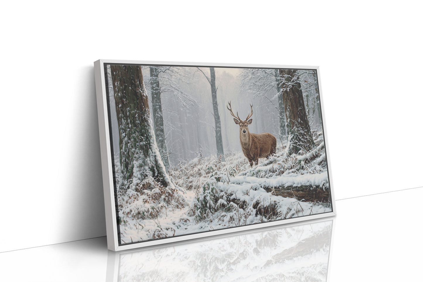 Winter Forest Holds Noble Secret