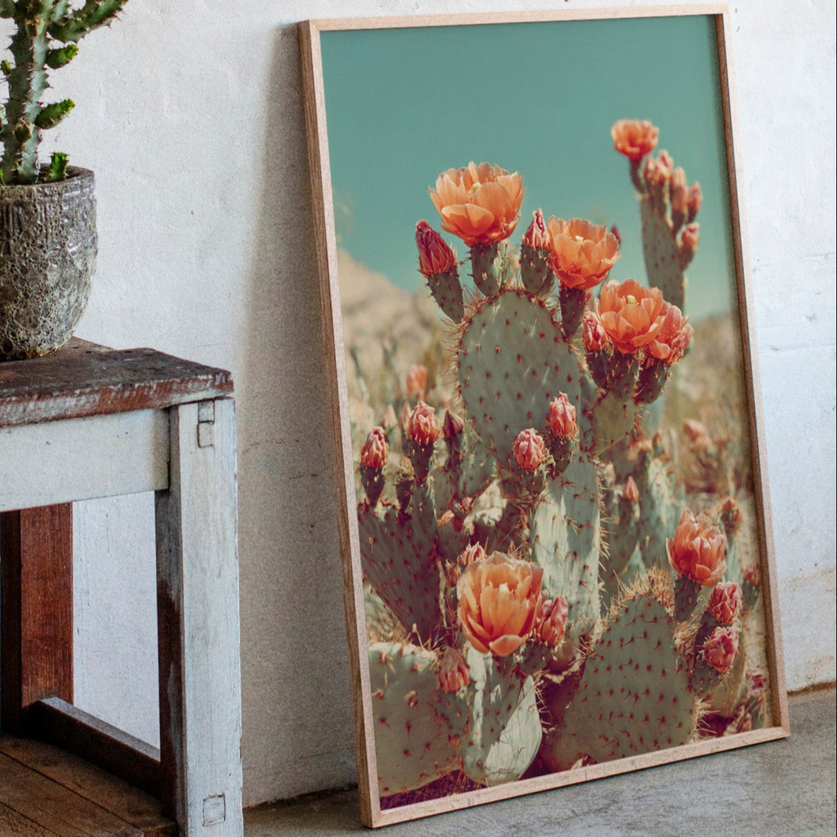 Desert Blooms in Radiant Sunlight
