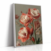 Amaryllis in Coral and Cream