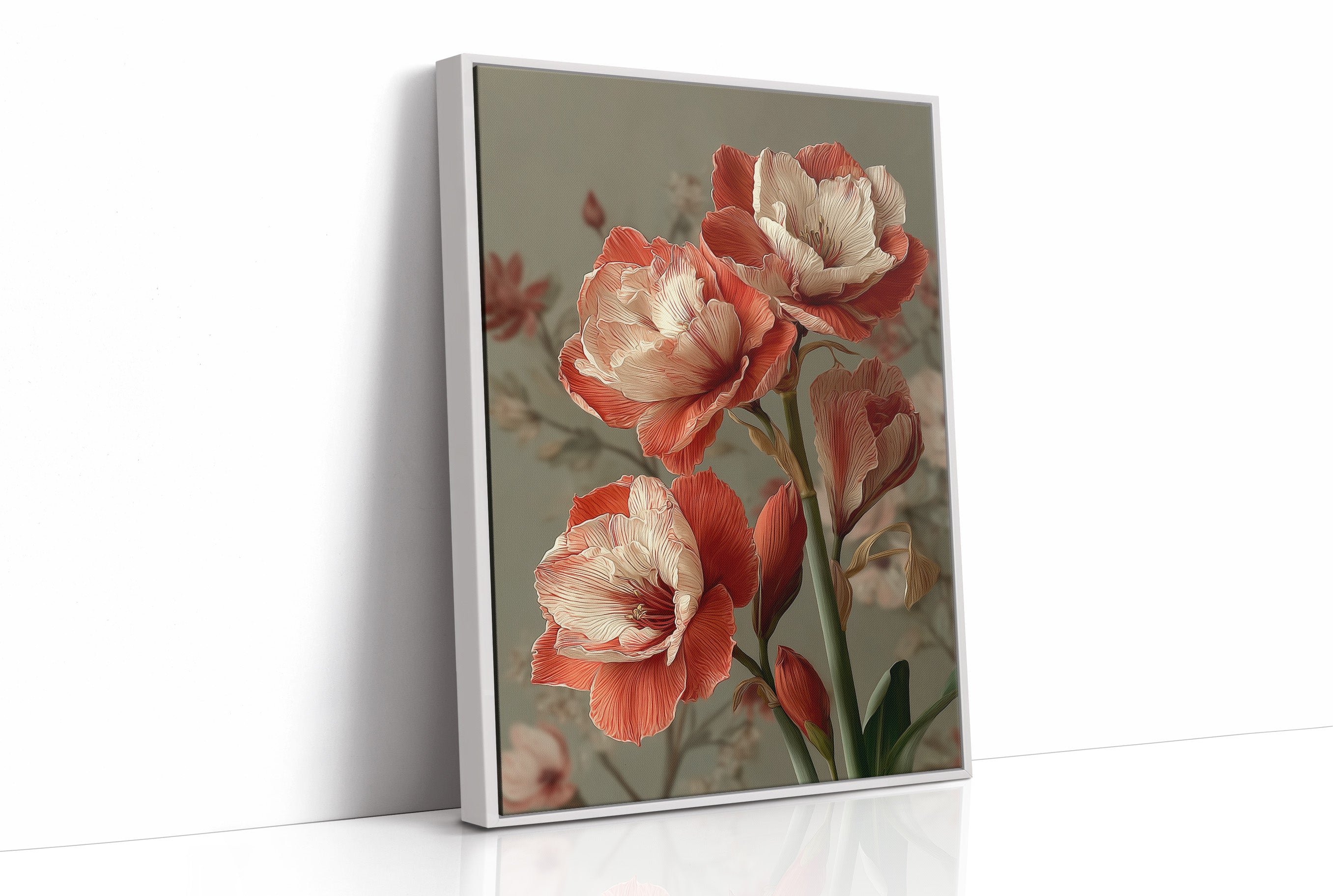 Amaryllis in Coral and Cream