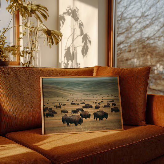 Prairie Kings Roam Ancient Ground