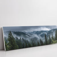 Mist Rolling Through the Evergreen Hills