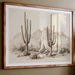 Saguaros Keep Ancient Mountain Secrets