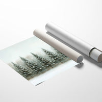 Evergreens Stand Their Winter Watch