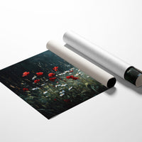 Poppies Dance Among Literary Worlds