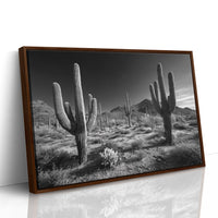 Sentinels of the Sonoran