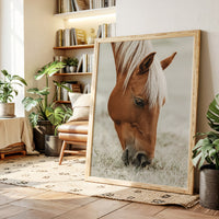 Quiet Morning Graze with Golden Mane