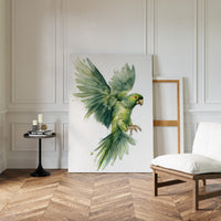 In Flight, Colors Unbound