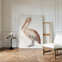 Beneath A Soft Feathered Gaze