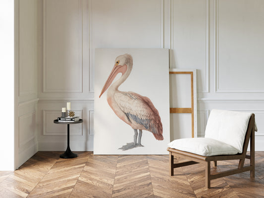 Beneath A Soft Feathered Gaze