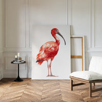 Crimson Elegance in Stillness
