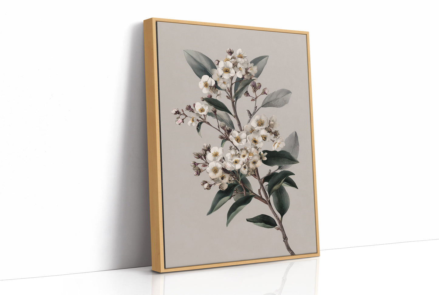 Ivory Blossoms On Quiet Branch