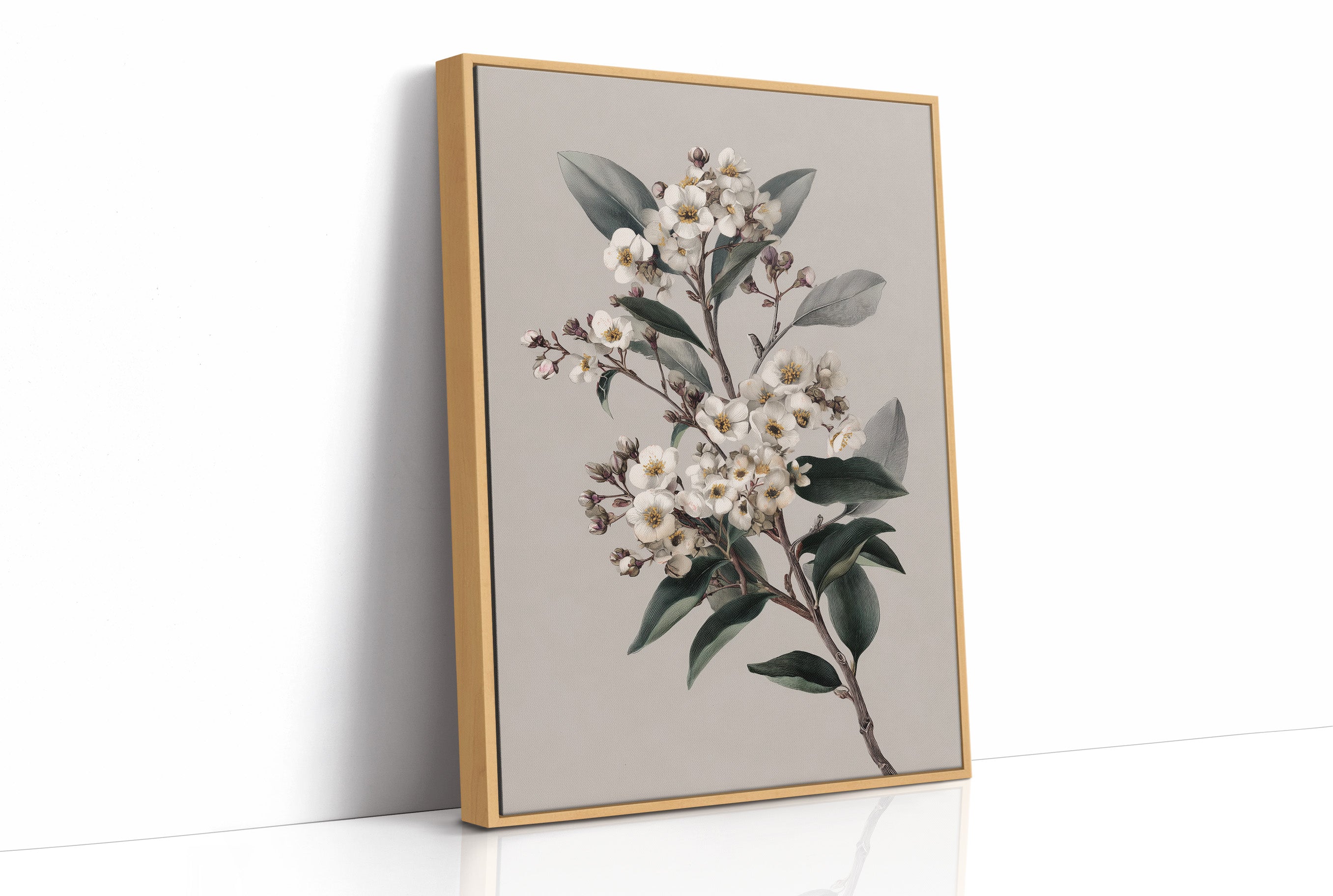 Ivory Blossoms On Quiet Branch