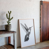 Graceful Hummingbird in Flight