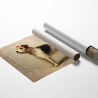 Noble Fox Terrier Stands Alert