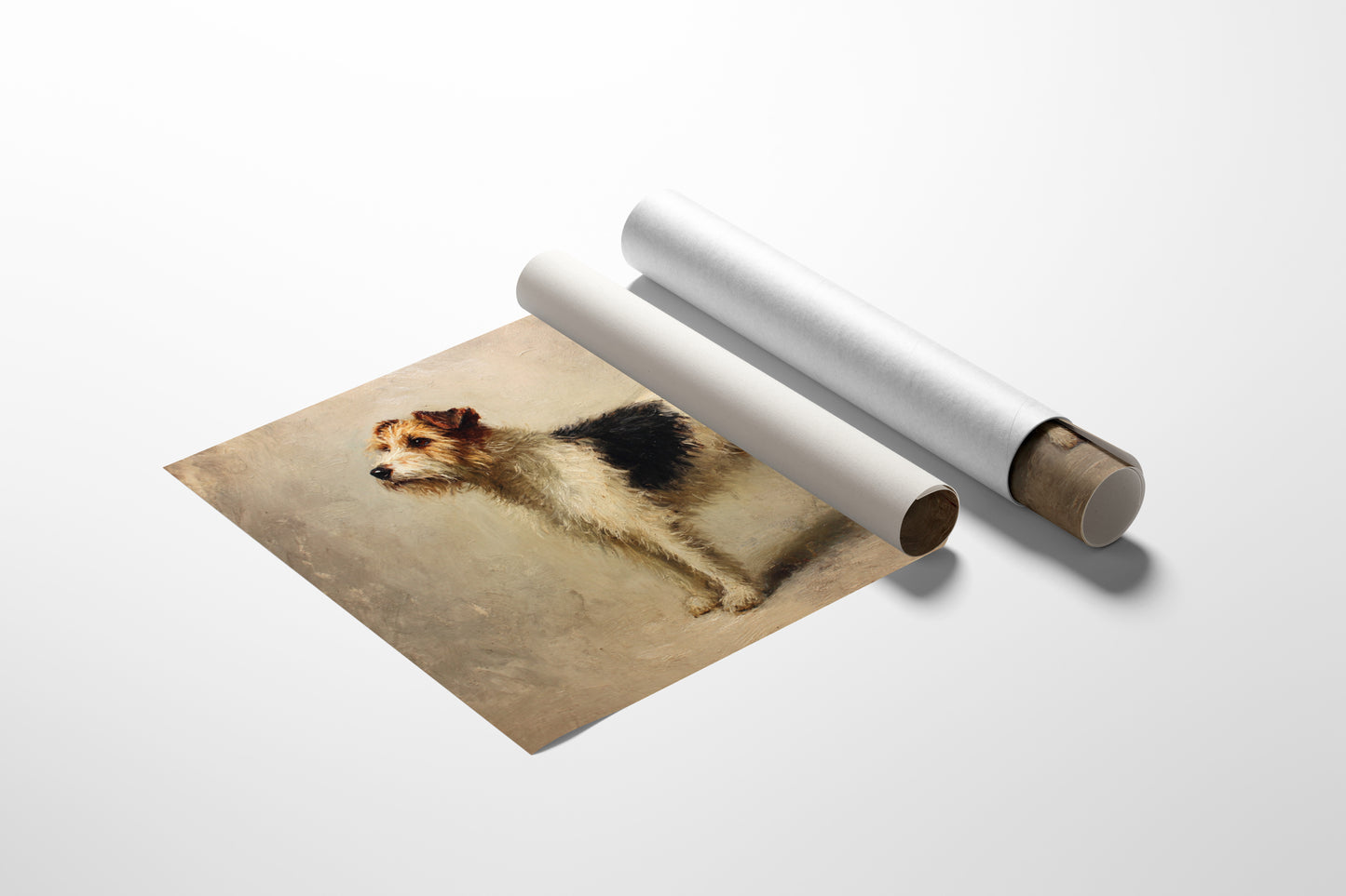 Noble Fox Terrier Stands Alert