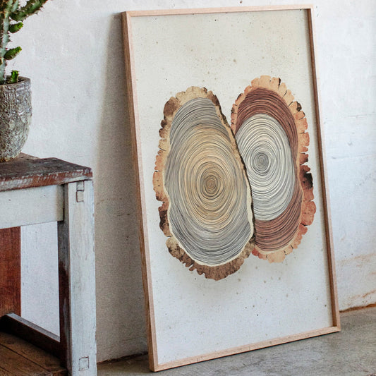 Intertwined Tree Rings