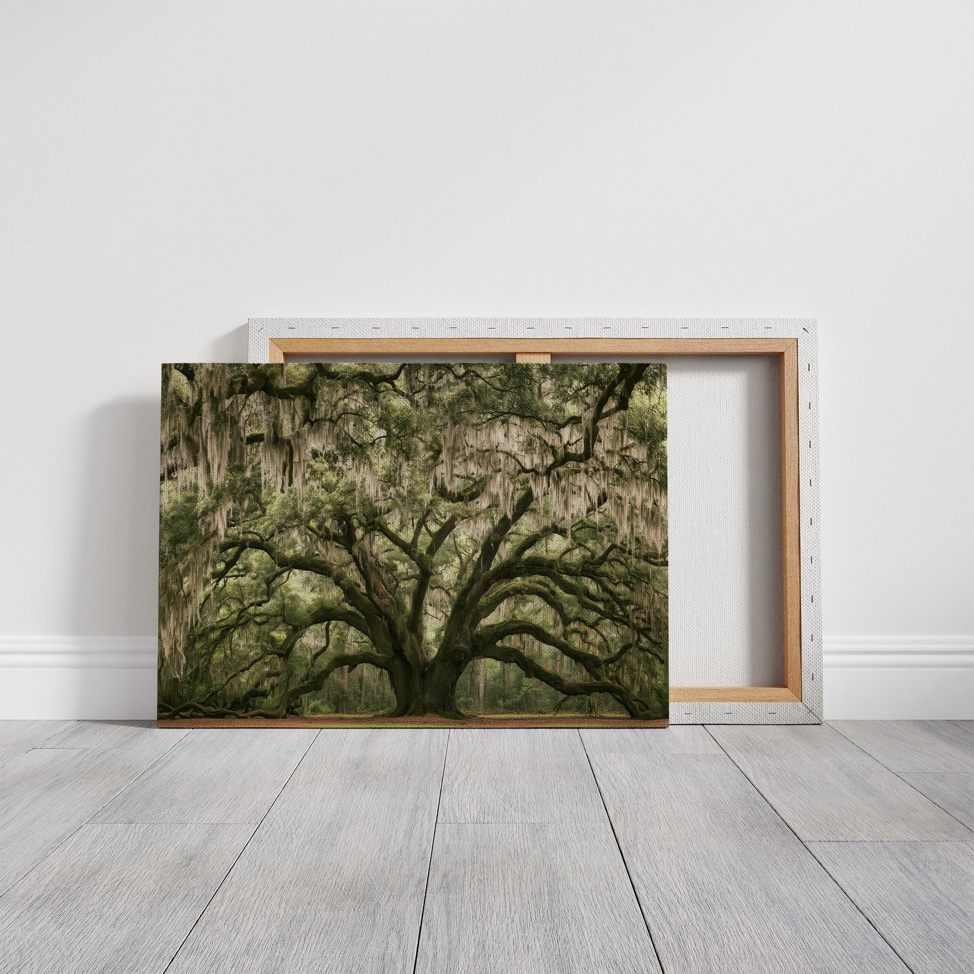 The Old Oak's Mossy Embrace
