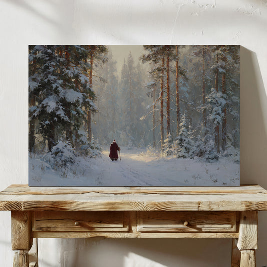 Pathways Through Winter's Embrace