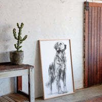 Noble Gaze of Loyalty