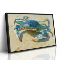 Blue Treasure From Tidal Pools