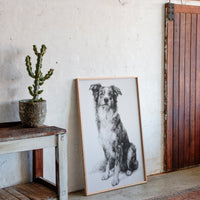 Guardian of Quiet Moments