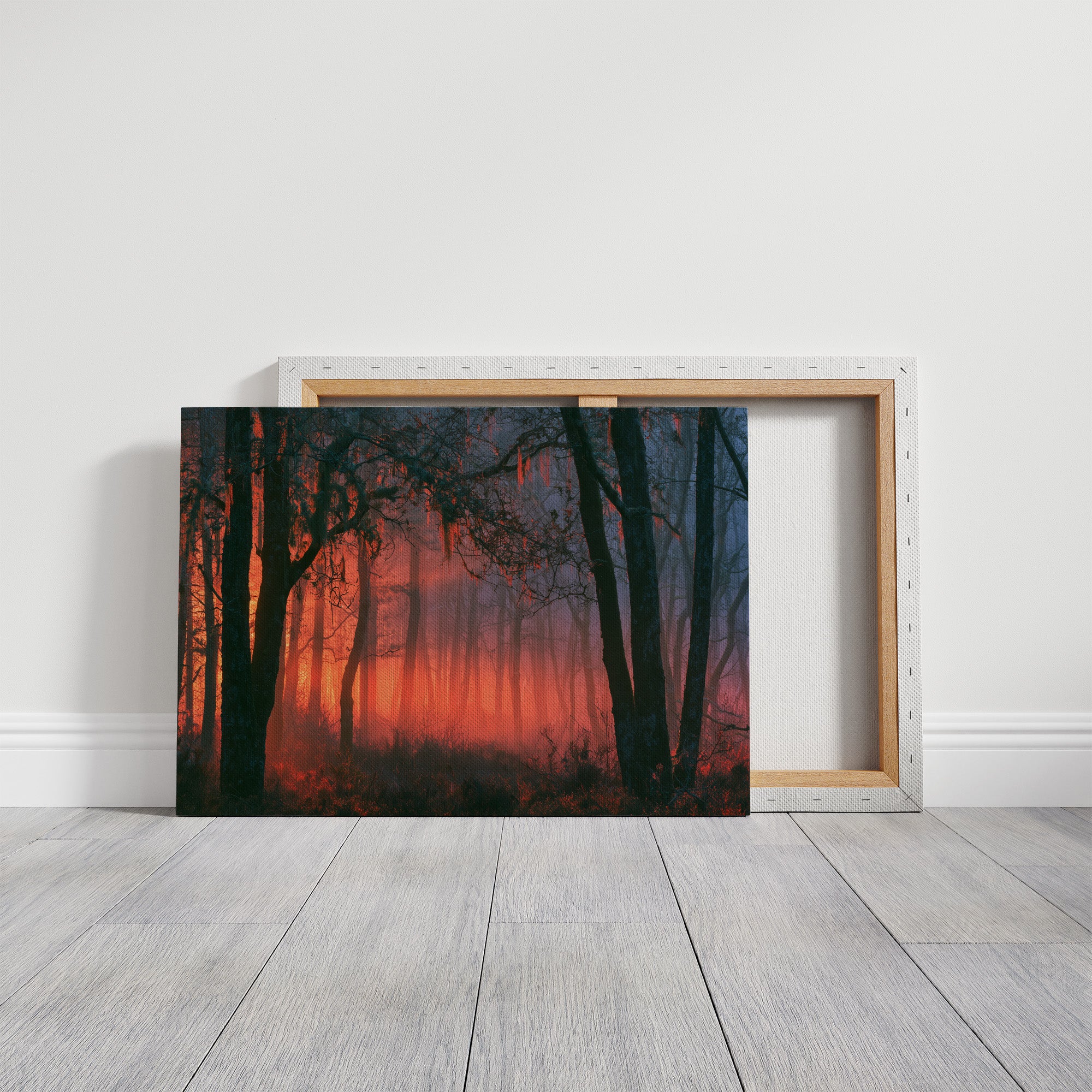 Forest Aglow In The Mist