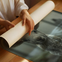 Innocent Steps In Foggy Forest