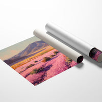 Desert Blooms Paint Mountain Dreams