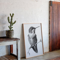 The Stillness of Feathered Grace