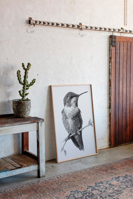 The Stillness of Feathered Grace
