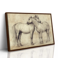 Equine Companionship Study