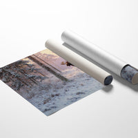 Winter's Light Finds Northern King