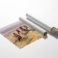 Riders Follow Ancient Prairie Winds