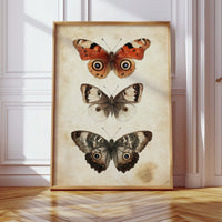 A Tapestry of Winged Wonders